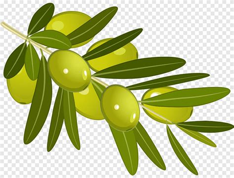 Olive branch Olive oil, olives, food, olive png | PNGEgg