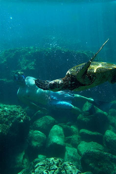 Swimming with Sea Turtles in Hawaii | Hawaiian Explorer