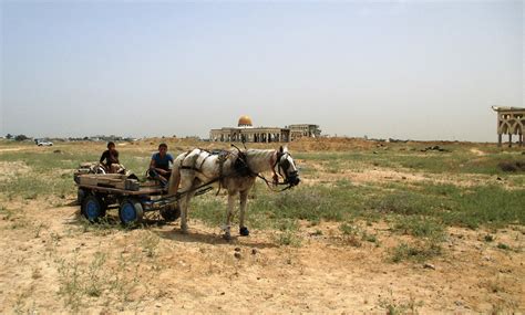 Destroyed Yasser Arafat International Airport at the southern border in... | Download Scientific ...