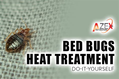 Bed Bugs Heat Treatment - Do-It-Yourself - AZEX Pest Solutions