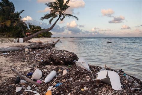 Plastic Trash on Remote Beach Stock Image - Image of colorful, colors ...