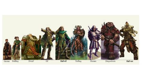 D&D 5e - Introduction to Base Races - YouTube