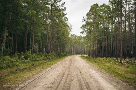 Osceola National Forest FR 235/17 Mile Camp Rd, Florida: Off-Road Map ...