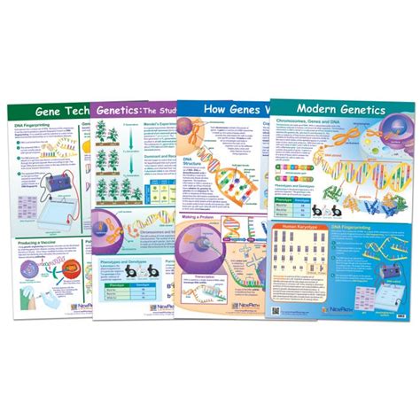 Genetics and Heredity Poster Set of 4 - Laminated - 23x35