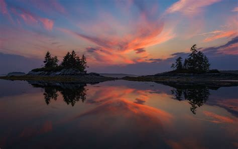 Download Reflection Pink Sky Tree Lake Nature Sunset HD Wallpaper