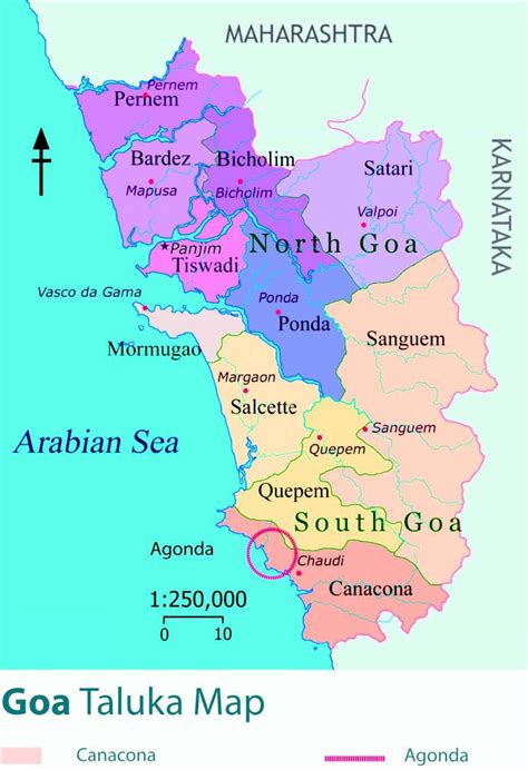 show map of taluka of goa | Fun facts, Goa, Goa travel