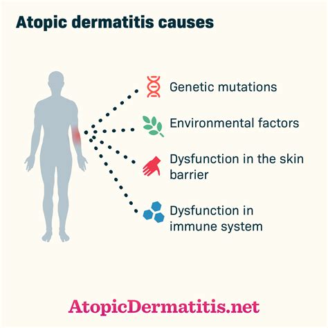 What Causes Atopic Dermatitis or Eczema?