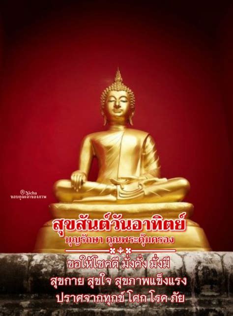 𝓗𝓪𝓹𝓹𝔂 𝓢𝓾𝓷𝓭𝓪𝔂..🙏 | พระพุทธเจ้า, วันอาทิตย์, อรุณสวัสดิ์