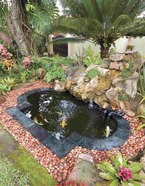 Maintenance Tips For Backyard Ponds | Fish pond gardens, Garden pond design, Ponds backyard