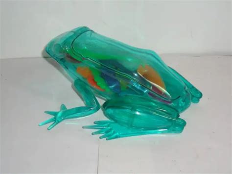 PLASTIC FROG DISSECTION Toy Learning Frog Anatomy $19.99 - PicClick