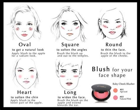 How To Apply Blush Bronzer And Highlighter - "How to use Blush, Bronzer ...