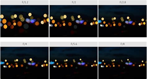 Bokeh Photography Guide: 27 Tips and Examples