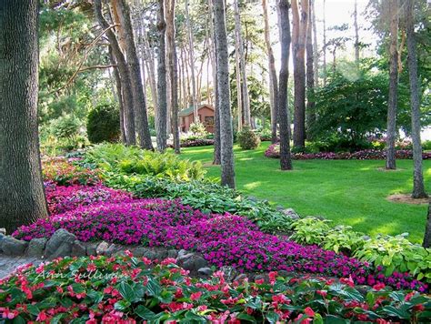 48 best Minnesota Flower Gardens images on Pinterest | Backyard ideas ...