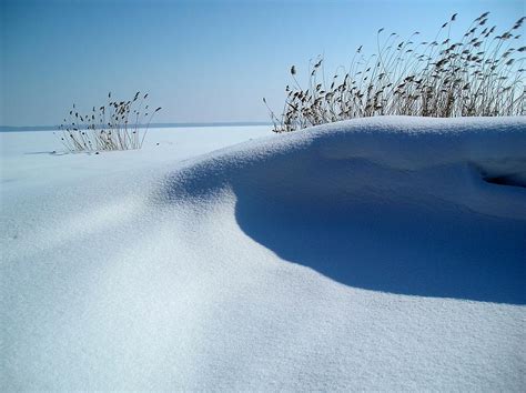 Winter In Lithuania Photograph by Marius Puluikis - Fine Art America