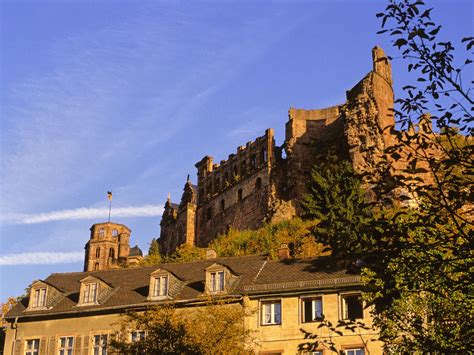 Heidelberg castle Free Photo Download | FreeImages