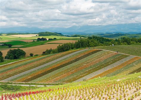 Desktop Wallpapers Japan Hokkaido Nature Sky Fields landscape