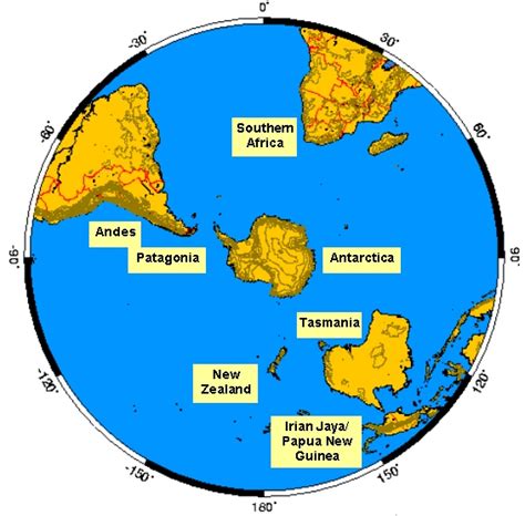 Essential Oils for a Seasonal Change – Northern and Southern Hemispheres | suzannerbanks