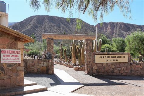 Jardín Botánico de Altura, Tilcara - Descubre Jujuy