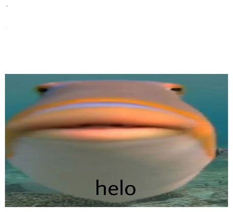 henlo fish Blank Template - Imgflip