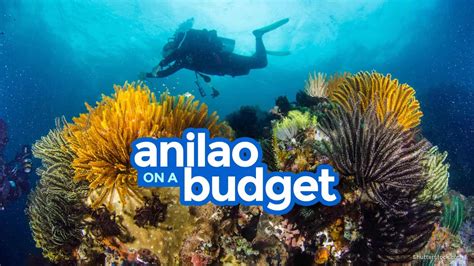 ANILAO BATANGAS: Travel Guide & Budget Itinerary | The Poor Traveler ...