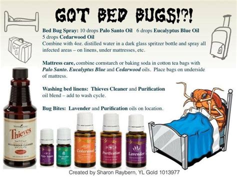 Bed Bugs | Essential oils | Pinterest | Bed bug control and Bug control