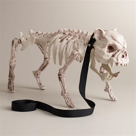 Dog Skeleton | World Market | Scary halloween decorations, Dog skeleton, Halloween monster