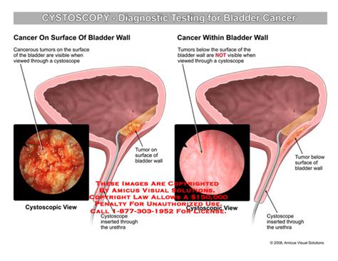 Medical Exhibits, Demonstrative Aids, Illustrations and Models