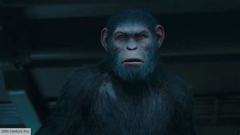 Kingdom of the Planet of the Apes release date, cast, plot, and more | The Digital Fix