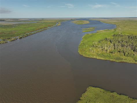 Altamaha - The River Basin Center