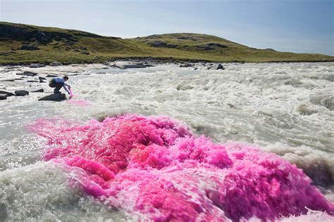 Climate Change In Greenland Photograph by Ashley Cooper - Pixels