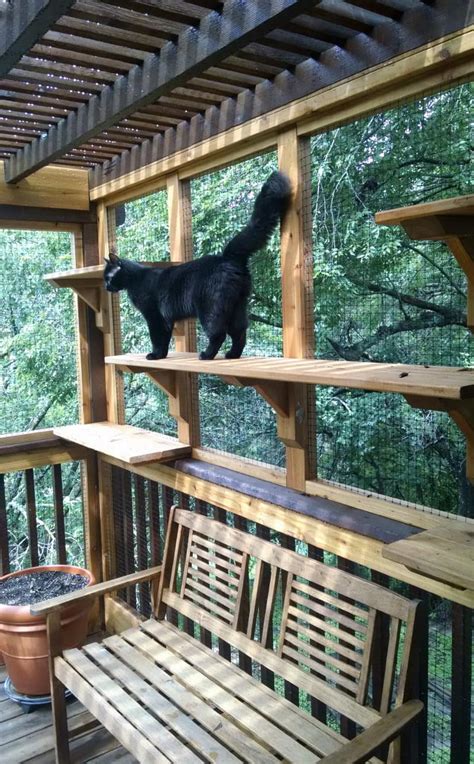 A Catio is the Coolest Thing You Never Knew Your Cat Needed | Apartment Therapy