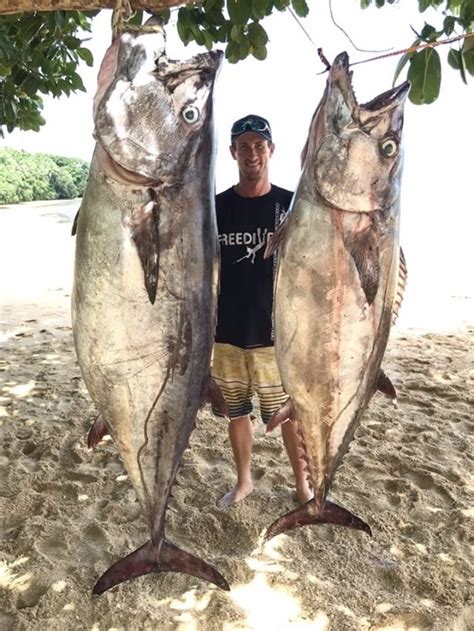 Angler lands dogtooth tuna large enough to feed a village