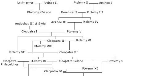The Genealogical World of Phylogenetic Networks: Cleopatra, ambition and family networks