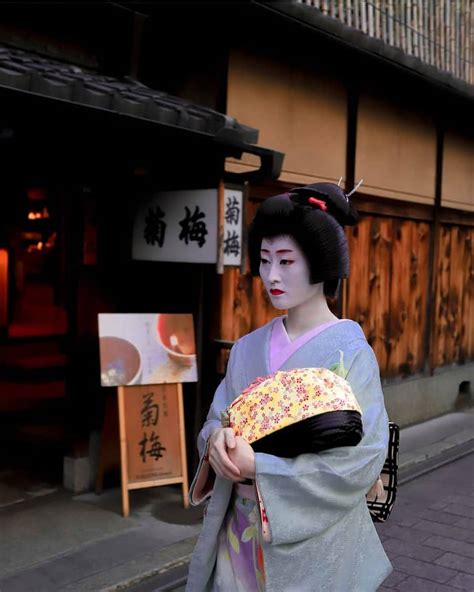 Can You See Geisha in Kyoto? Things You Need to Know About Meeting ...