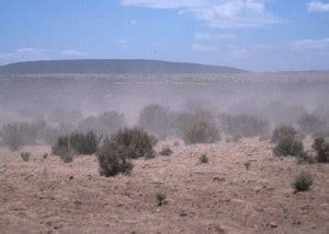 Factors affecting wind erosion