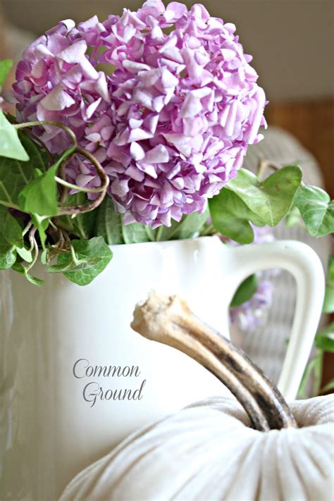 common ground : Lavender Hydrangeas