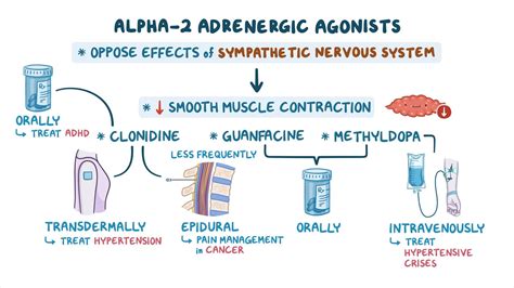 Alpha-2 adrenergic agonists: Nursing pharmacology - Osmosis Video Library