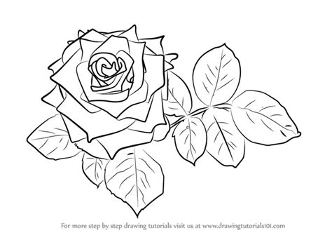 【印刷可能】 red rose drawing 297136-Red rose drawing easy