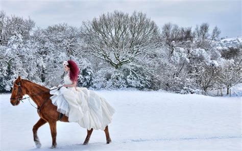 Horses in the Snow Wallpaper - WallpaperSafari