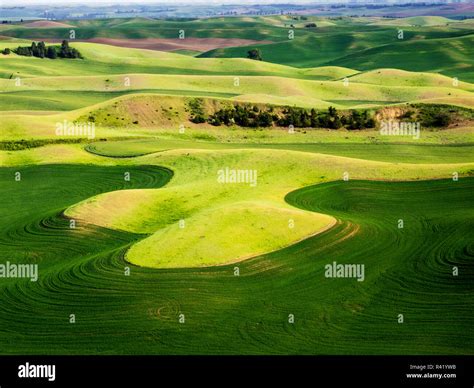 Aerial view of Palouse Region Stock Photo - Alamy