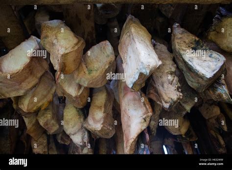 Hakarl, rotten shark meat, Iceland Stock Photo - Alamy