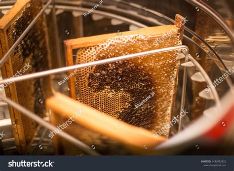 47,752 Harvesting honey Images, Stock Photos & Vectors | Shutterstock