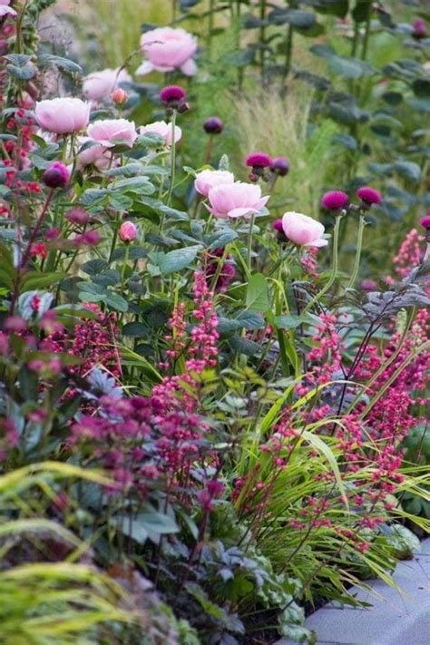 Garden Designs Ideas 2018 : Adore the layers of pink. Wild, romantic ...