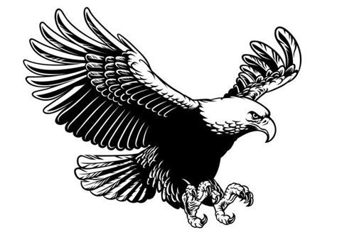 Flying Eagle In Hand Drawing Black And White Style in 2021 | Eagle drawing, Flying eagle drawing ...