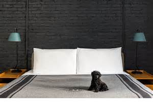 10 Best Pet-friendly Hotels in the USA for Furry Adventures