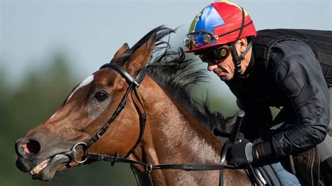 Dettori reunited with 'Queen' Enable as duo gear up for mare's British ...