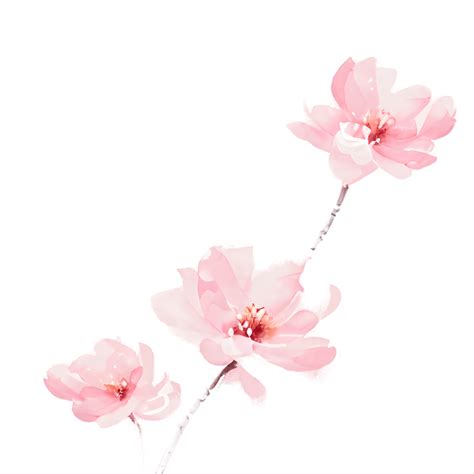 Watercolor Cherry Blossom Branch · Creative Fabrica