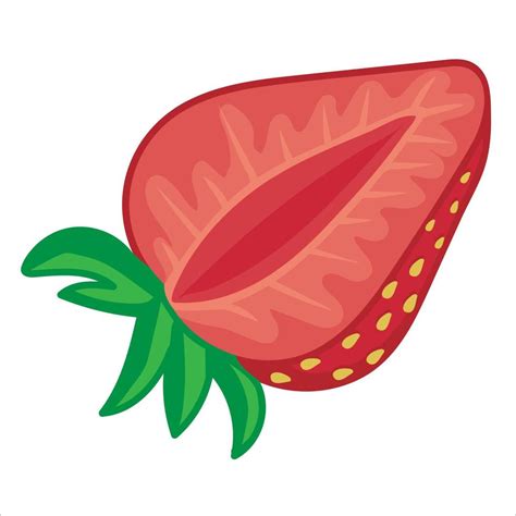 Hand-drawn half of ripe strawberry 17433184 Vector Art at Vecteezy