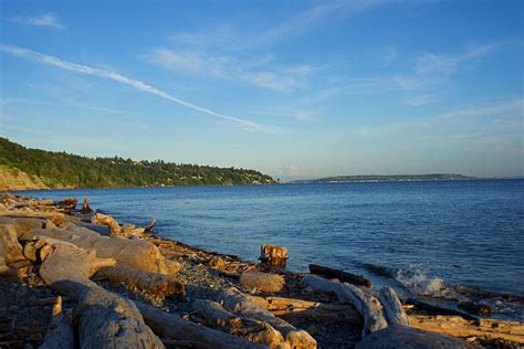 Best Discovery Park Seattle Stock Photos, Pictures & Royalty-Free ...