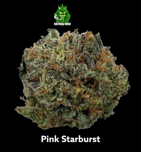 Pink Starburst | naturalhighdelivery.com